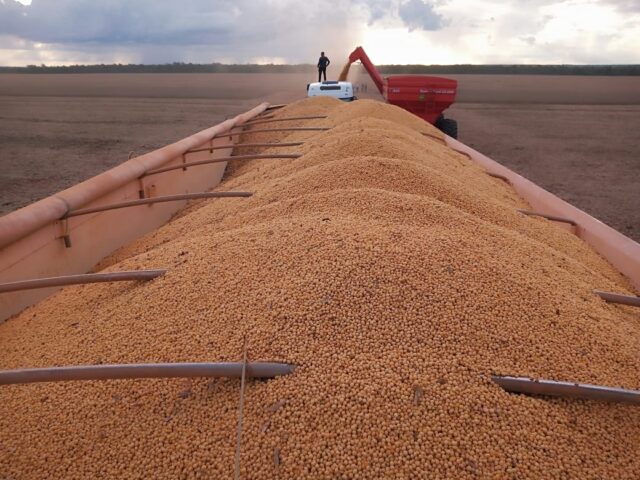 ECONOMIA: Puxado por soja, PIB agropecuário pode crescer entre 3,4% e 4,1%, diz Ipea