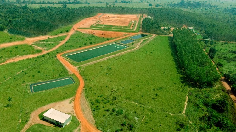 MFM atua com responsabilidades ambiental, econômica e social