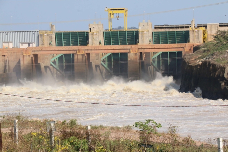 NATUREZA: Peixes morrem sem conseguir subir barragem da usina de Santo Antônio