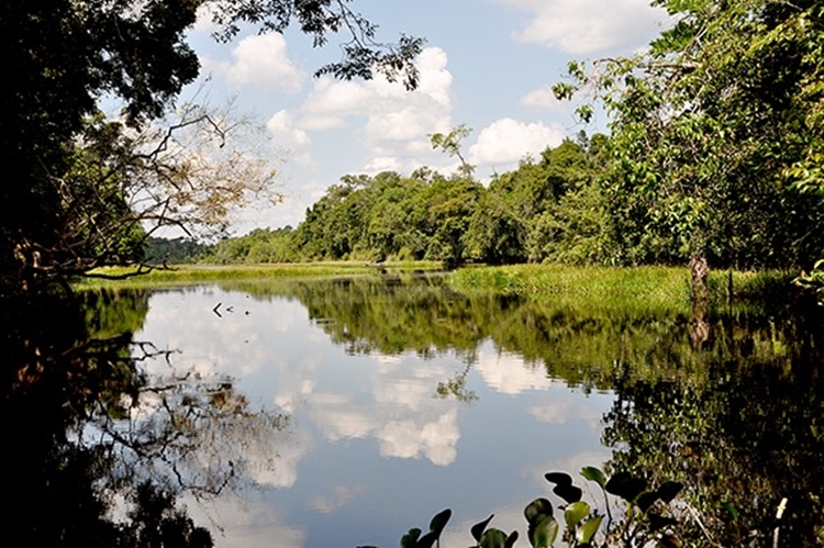 VITÓRIA: Justiça considera inconstitucional lei que extinguiu 11 UCs em Rondônia