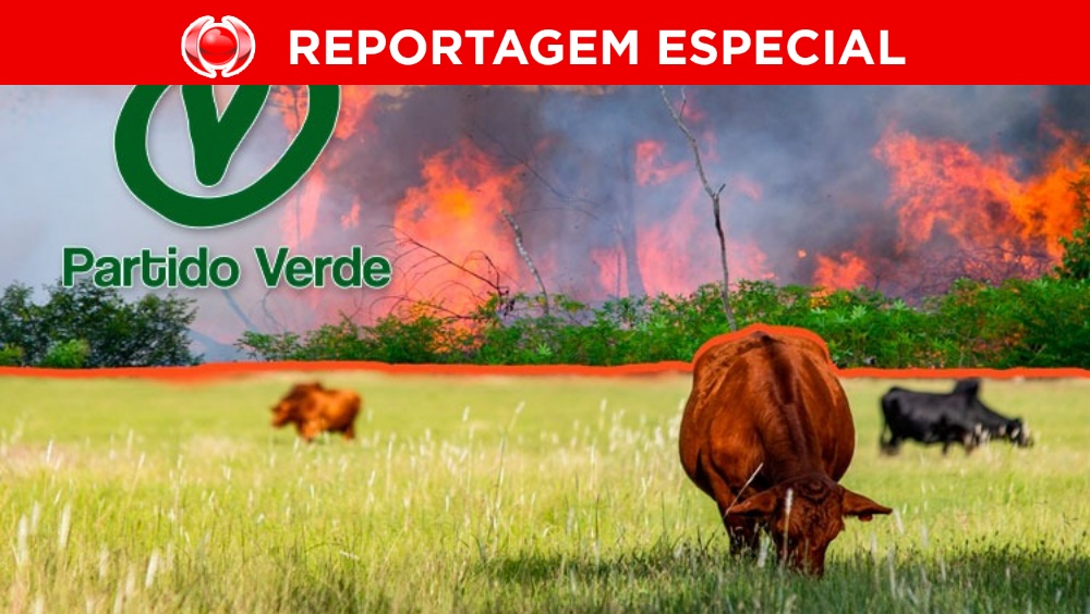 CONTRADIÇÃO: Onde está o Partido Verde de RO na luta ambiental em nosso Estado?