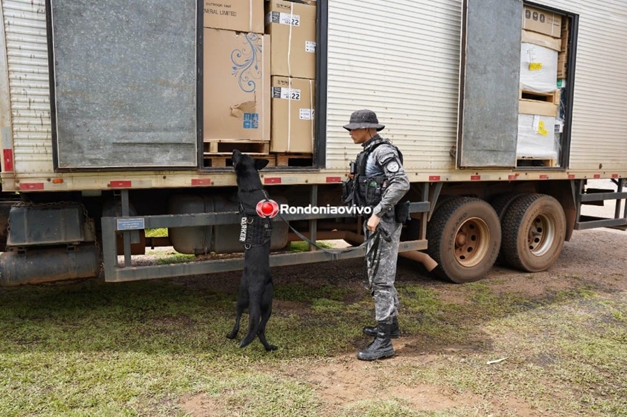 URGENTE: PM e PRF apreendem caminhão com mais de 100 quilos de drogas