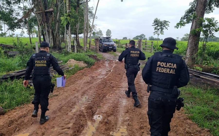 TESTA DE FERRO: Madeireira é alvo de operação da Polícia Federal em RO