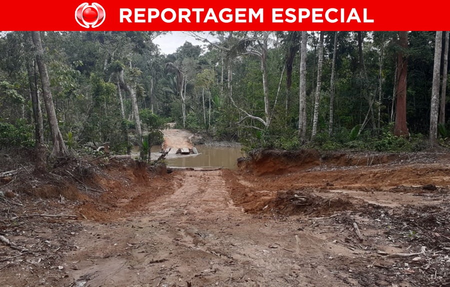 RESISTÊNCIA: Povo indígena Karipuna tenta proteger território de grileiros, madeireiros e invasores em RO