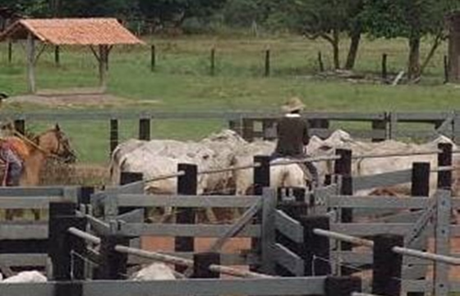 ACIDENTAL: Jovem é baleado ao tentar matar vaca em curral de fazenda na BR-364