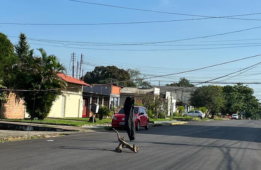 PERIGO: Caminhão baú derruba fiação no Arigolândia na capital