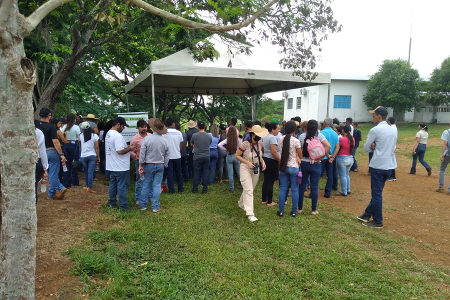 PECUÁRIA: Porto Velho participa de Dia de Campo com produtores locais