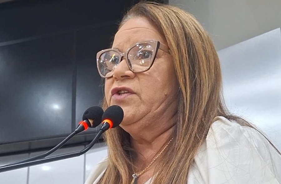 ELLIS REGINA: Vereadora vota contra PL que cria mais uma taxa municipal para o contribuinte