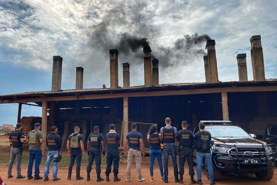 TABLETES: PF incinera 130 quilos de drogas em Rondônia