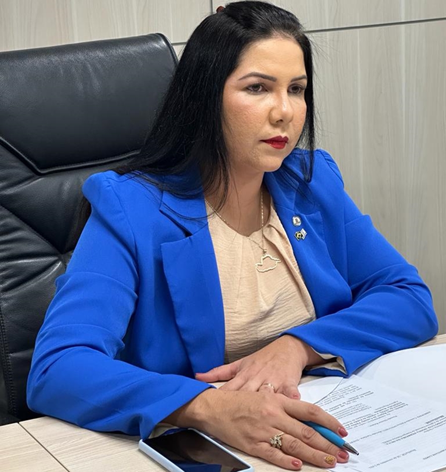 CRISTIANE LOPES: Deputada defende redução tarifária em audiência na ANEEL