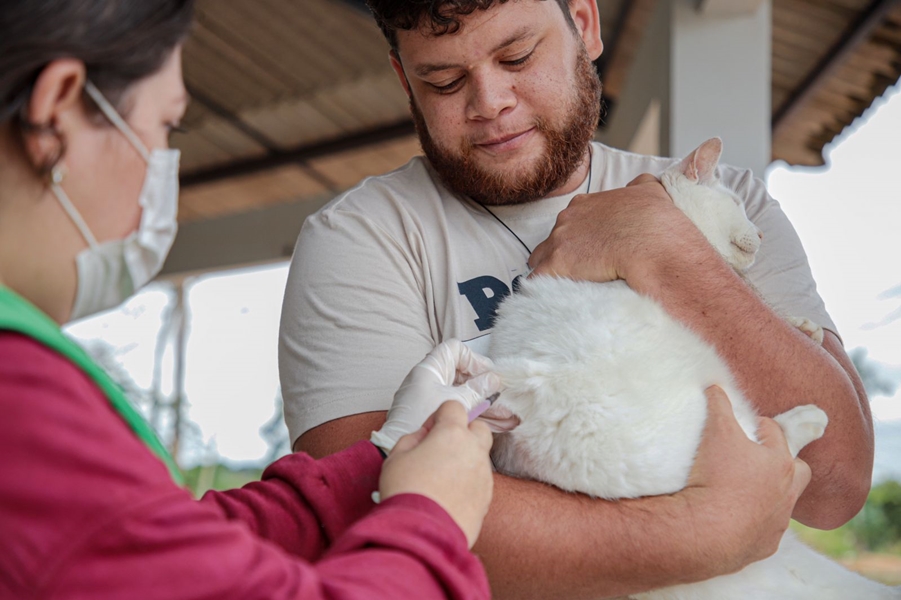 PREVENÇÃO: Mutirão de vacinação antirrábica será realizado em distritos