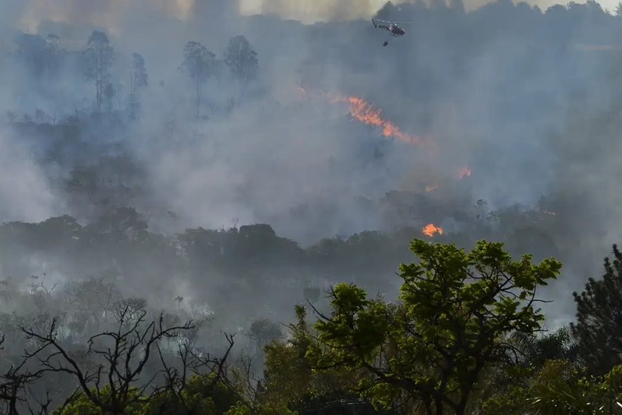 DEVASTAÇÃO: Quase 1/4 do território brasileiro pegou fogo nos últimos 40 anos