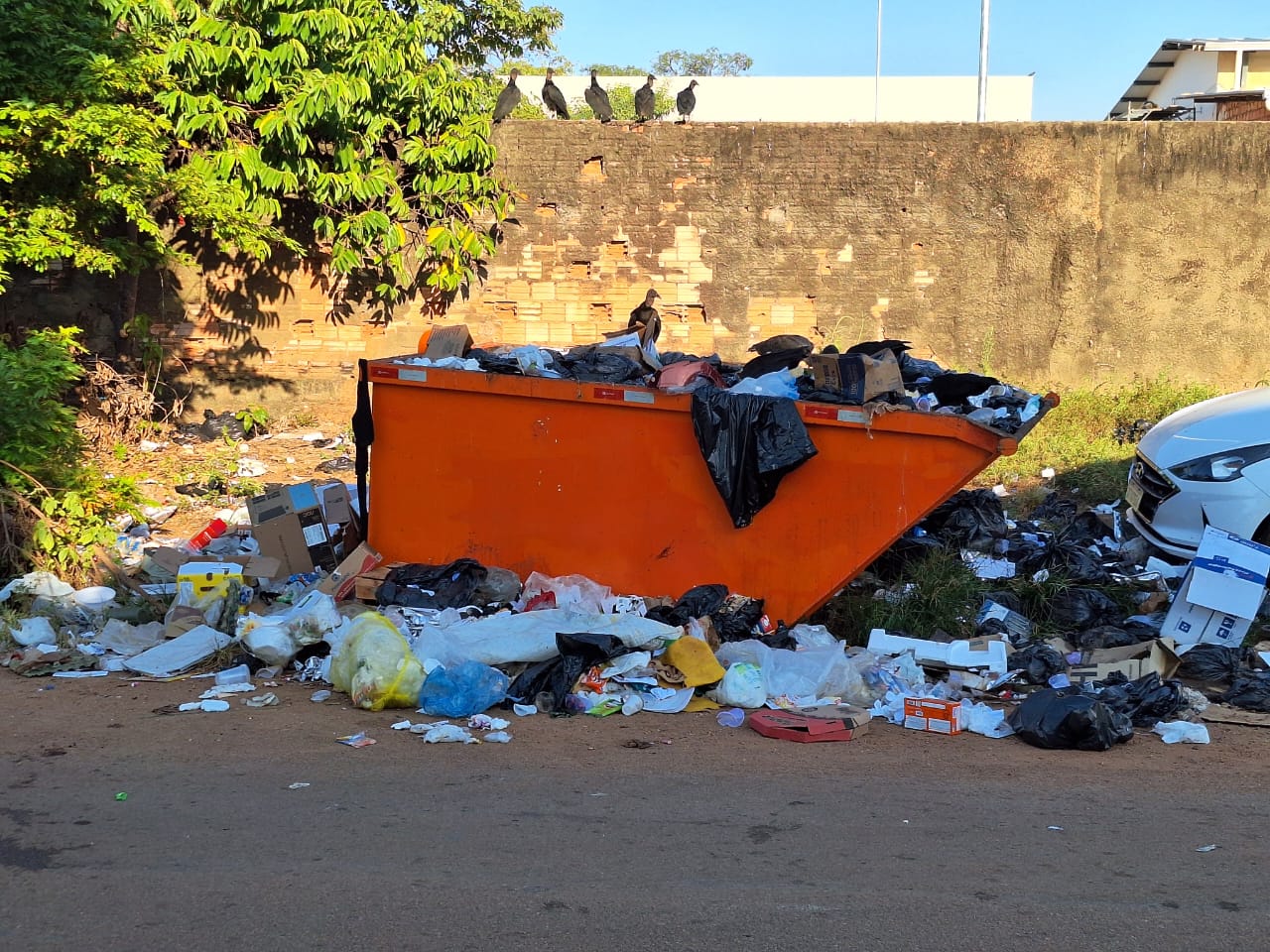 IMUNDICE: Moradores sofrem com fedor e urubus em lixo acumulado na rua Nicarágua