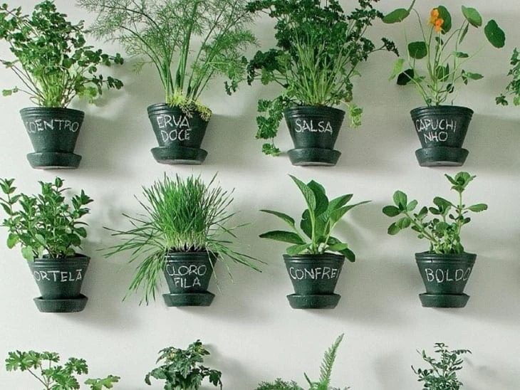 PRÁTICO E FÁCIL: Como cultivar uma horta em seu apartamento?