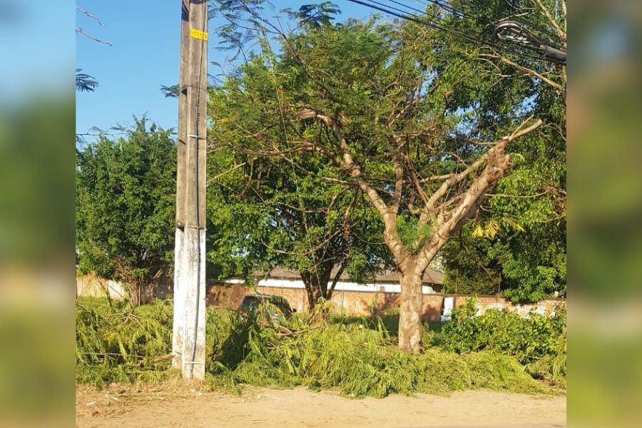 PEDIDO DE PROVIDÊNCIA: Moradores relatam problemas com limpeza após poda de árvores na capital