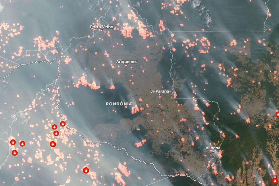 TARDIO: Queimadas fazem Governo do Estado decretar emergência