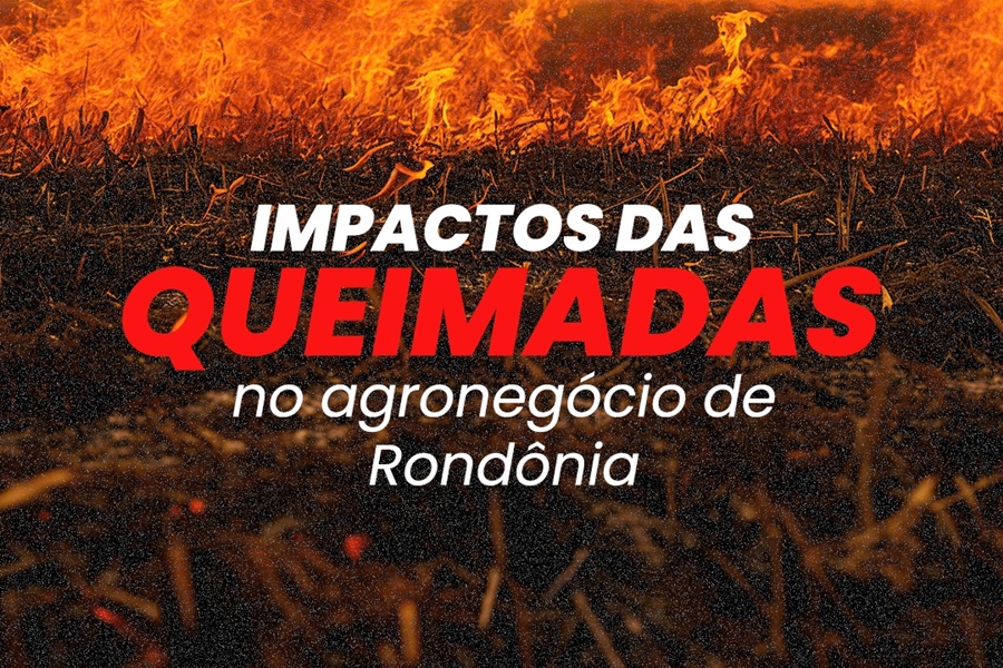 PERDAS: Faperon e Produtores Rurais destacam os impactos das queimadas