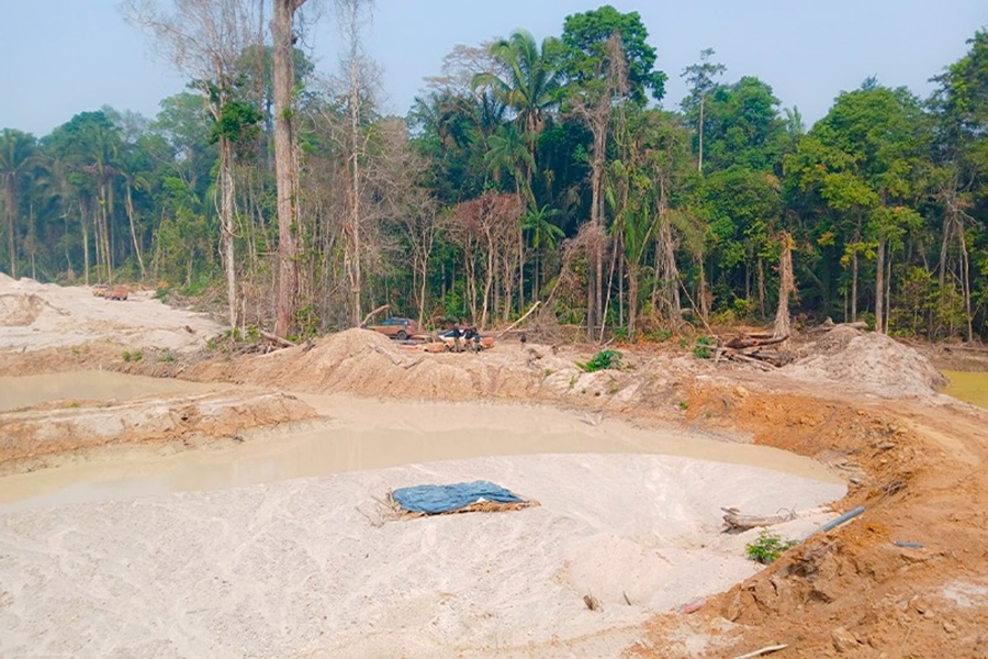 CAMPOS AMAZÔNICOS: MPF recomenda medidas de proteção ao Parque Nacional 