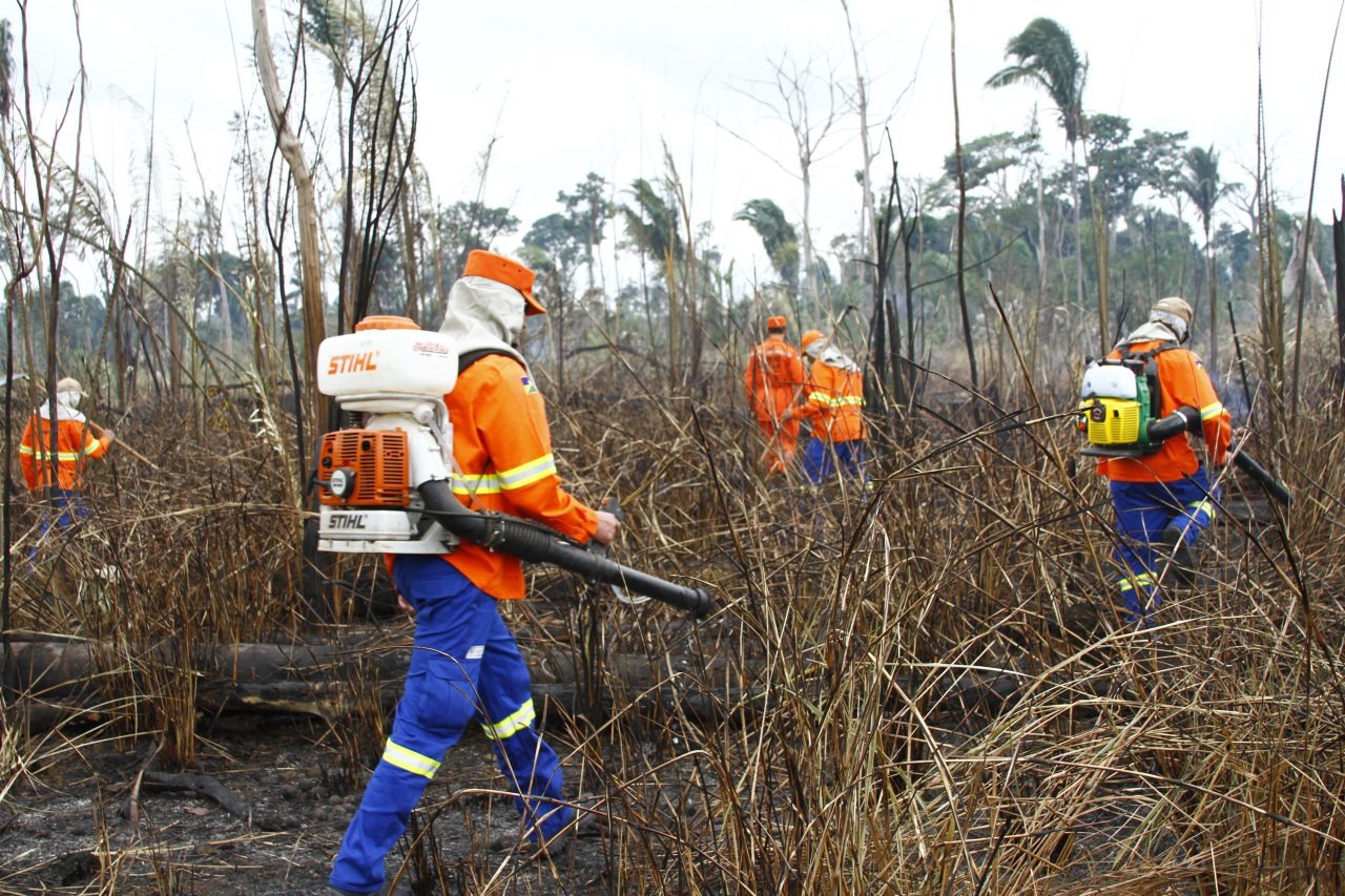 CRIME AMBIENTAL: Entenda as linhas de investigação dos incêndios florestais no país