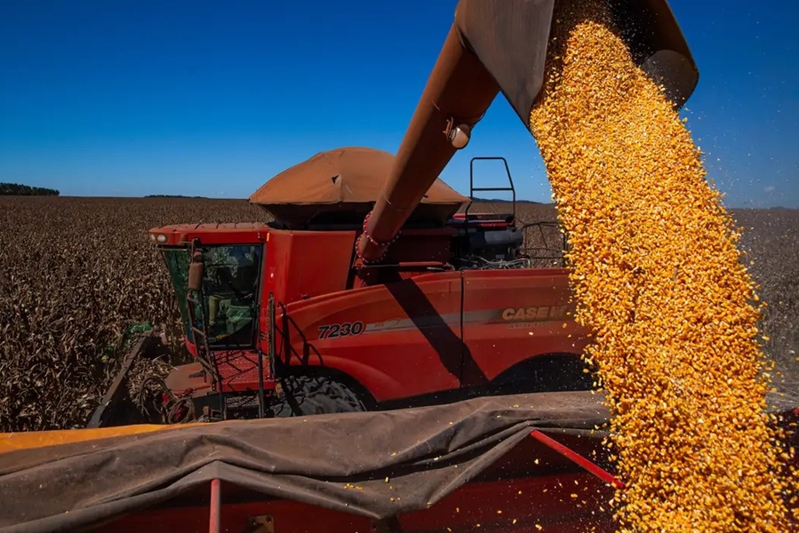 ECONOMIA: Governo atinge marca de 200 novos mercados abertos ao agro em 20 meses