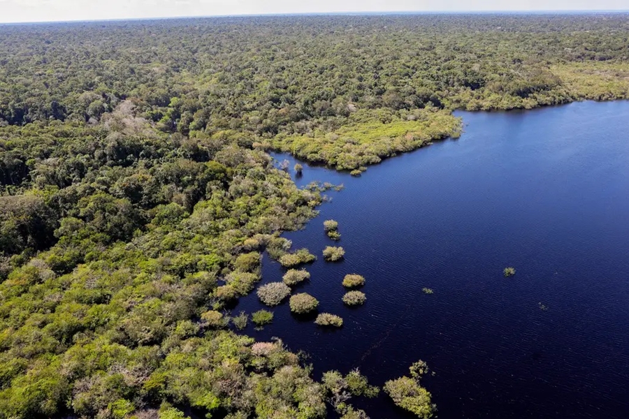 CONTRIBUIÇÃO: : Cinco países aderem a fundo para conservação de florestas tropicais