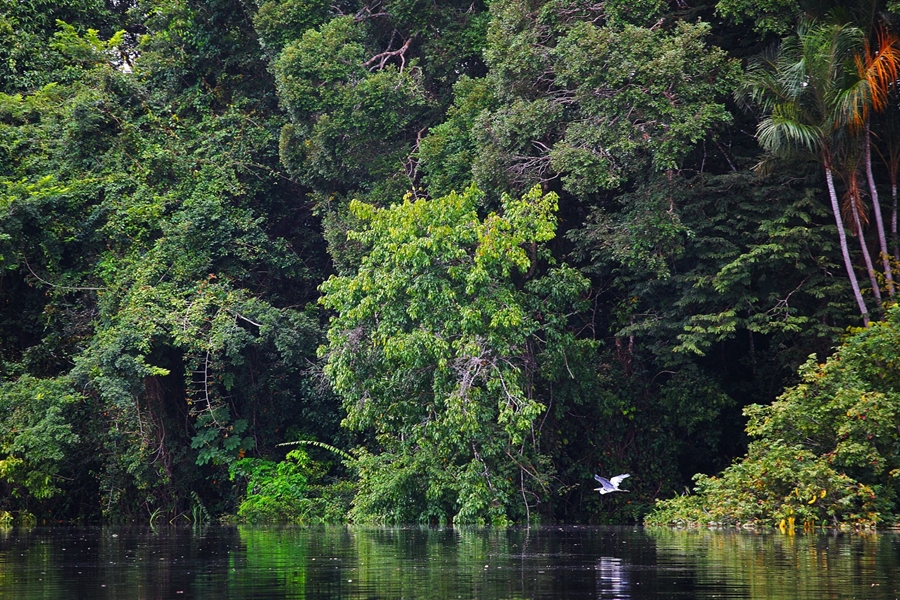 DESPREOCUPAÇÃO: Menos de 10% dos municípios convocaram conferências do meio ambiente