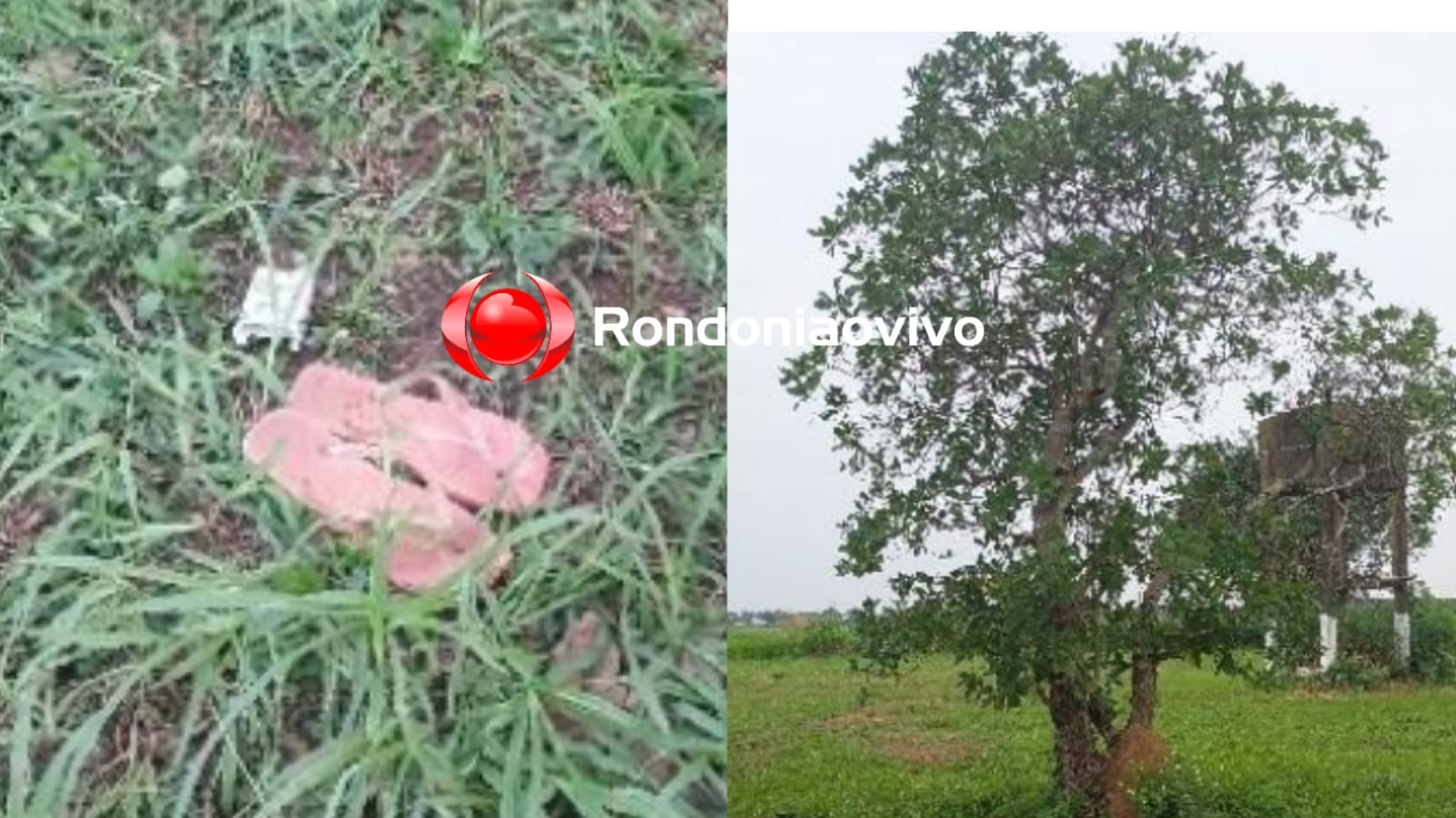 APÓS BEBEDEIRA: Mulher é levada para terreno baldio e abusada por pedreiro ao aceitar carona 