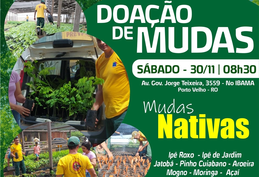 DOAÇÃO: Ibama distribui 10 mil mudas para população de Porto Velho