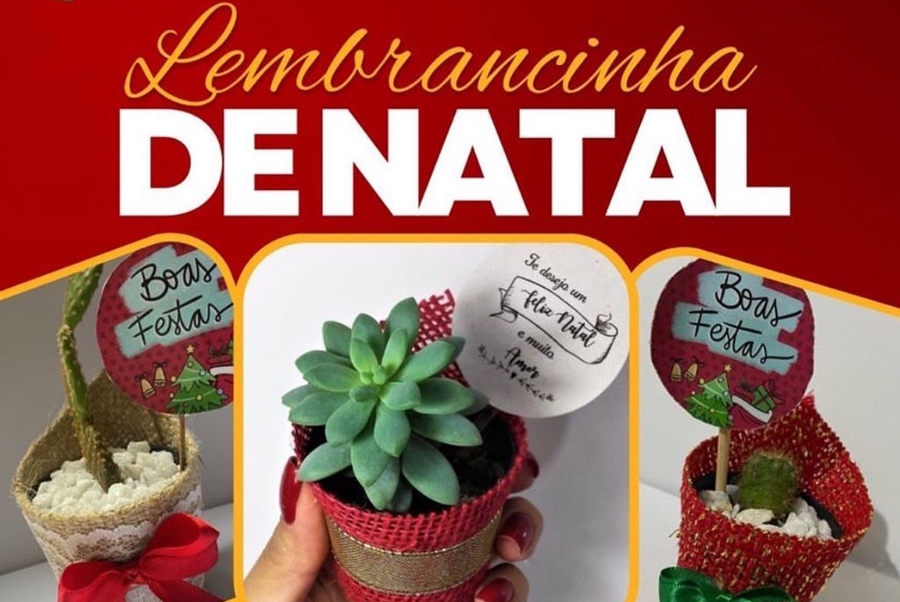 VIVEIRO FLORA&CIA: Presenteie seus amigos com lindas lembrancinhas personalizadas!