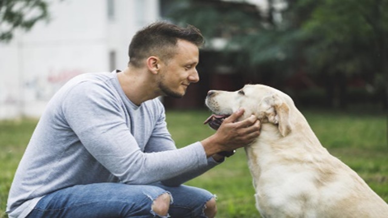 SINCRONIA E COGNIÇÃO: O que acontece quando olhamos fixamente nos olhos de um cachorro