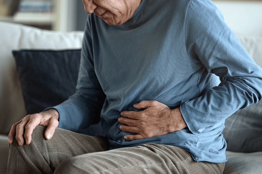 PREBIÓTICOS: Qual o papel do intestino no equilíbrio do organismo? 