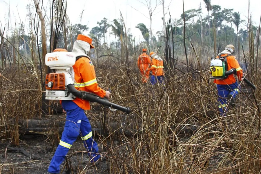 FOGO NA FLORESTA: Amazônia lidera queimadas e Rondônia fica fora dos maiores causadores 