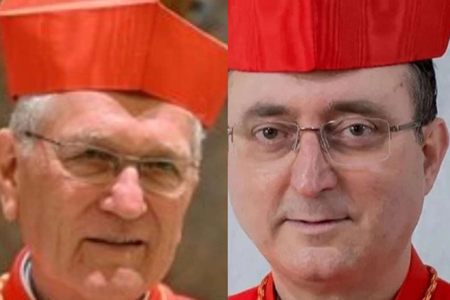DOIS BRASILEIROS: Cardeal da Amazônia entre os cotados para novo Papa
