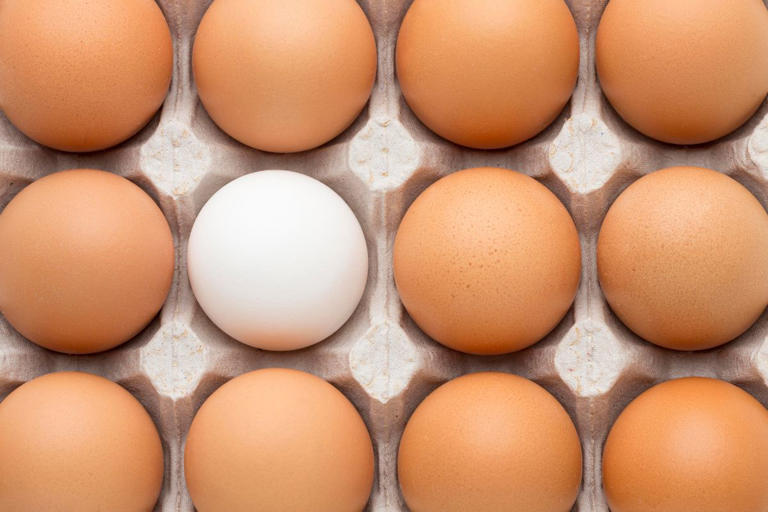 SEM RISCOS: Entenda quantos ovos por dia podem ser consumidos    