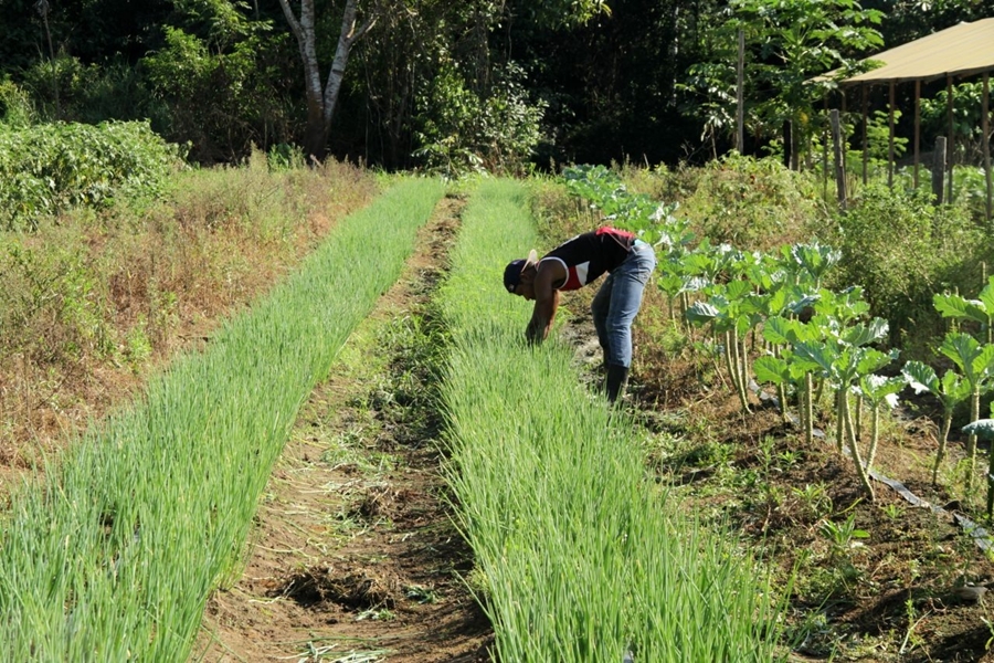 ALAN QUEIROZ: Deputado destina R$ 70 mil para aquisição de Implementos Agrícolas