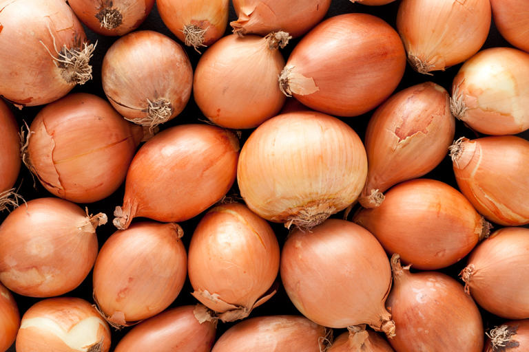 RECOMENDADO: Risco de câncer é reduzido com consumo por vegetal comum     