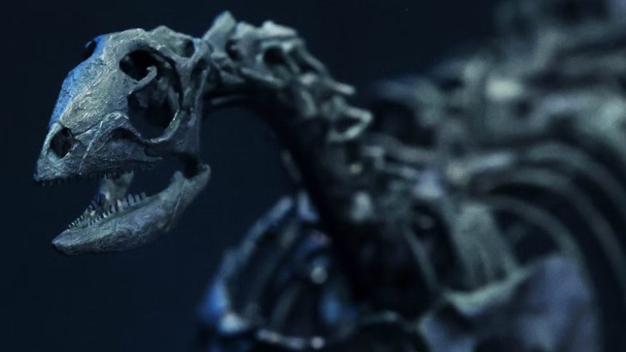 CORREDOR MISTERIOSO: Cientistas descobrem, sem querer, espécie inédita de dinossauro 