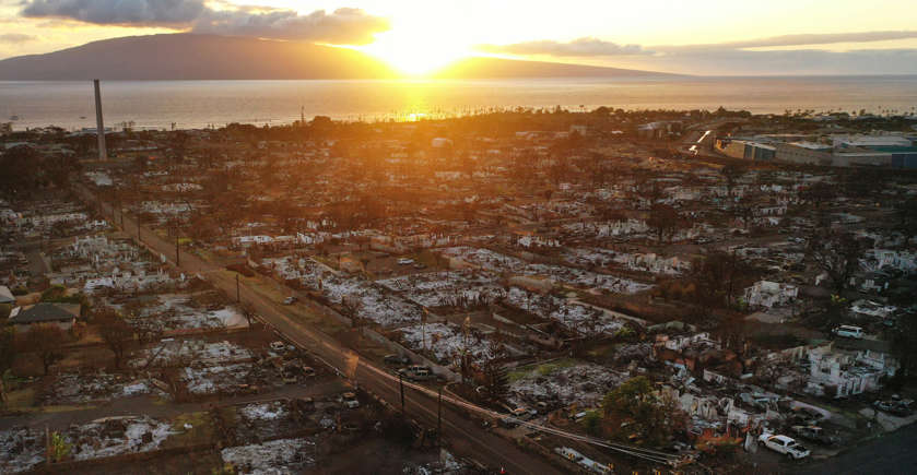 ALTERAÇÕES CLIMÁTICAS: Estamos no meio de uma extinção em massa? 
