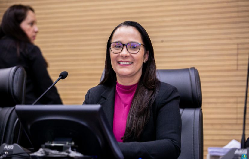 INVESTIMENTO GARANTIDO:  Rosangela Donadon destina recurso para playgrounds em Pimenteiras do Oeste