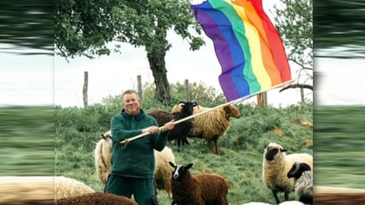 SÓ CARNEIRINHOS: Fazendeiro alemão cria o primeiro rebanho de 'carneiros gays' para evitar abate