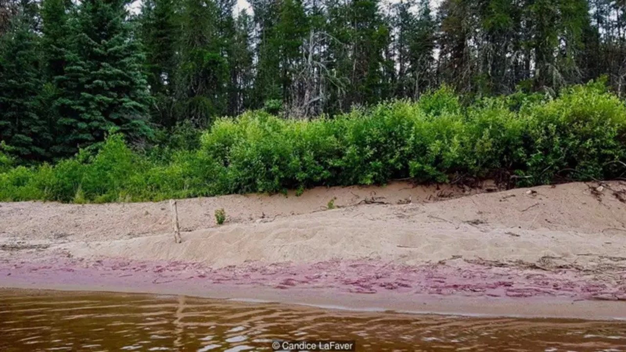 CURIOSIDADE: A pouco conhecida praia de areia roxa do Canadá