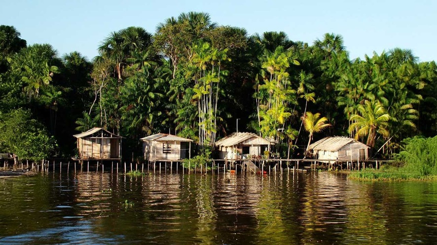 PRESERVAÇÃO: Estudo aponta que Bolsa Verde reduziu desmatamento em áreas da Amazônia