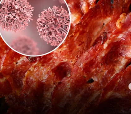 NAÕ É POSSÍVEL!: OMS classifica bacon como carcinogênico e alerta para consumo moderado