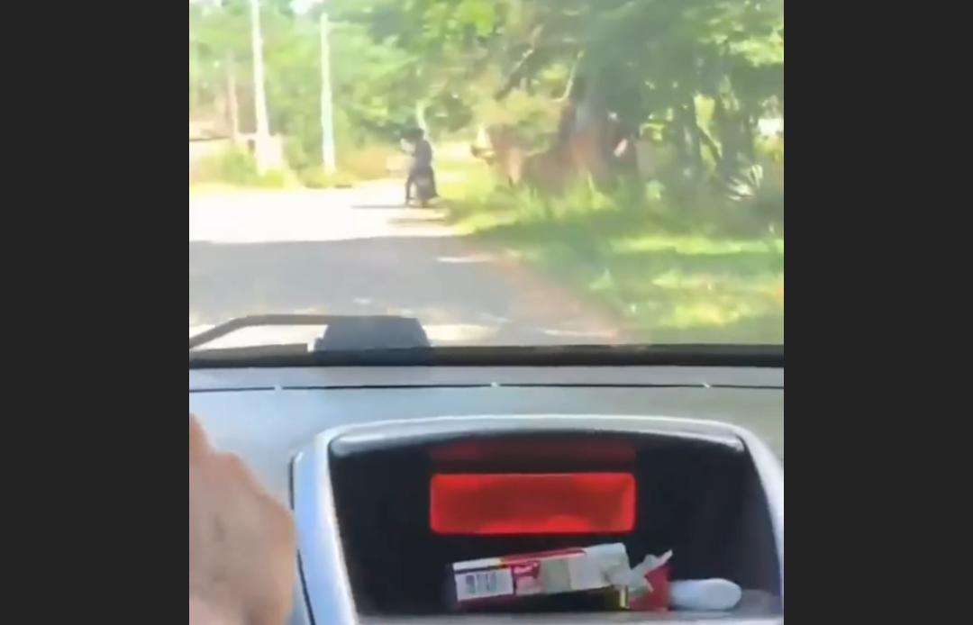 VÍDEO: Criminosos filmam execução de homem que ia entregar currículo