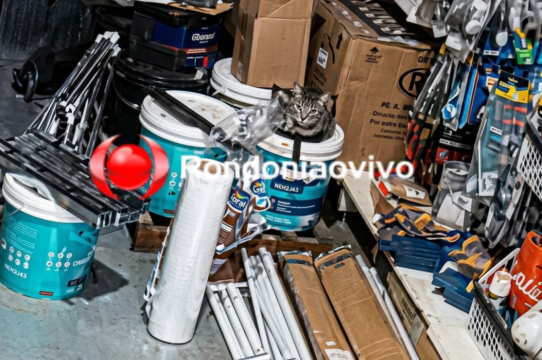 MADRUGADA: Ladrão quebra telhado e furta loja de materiais de construção