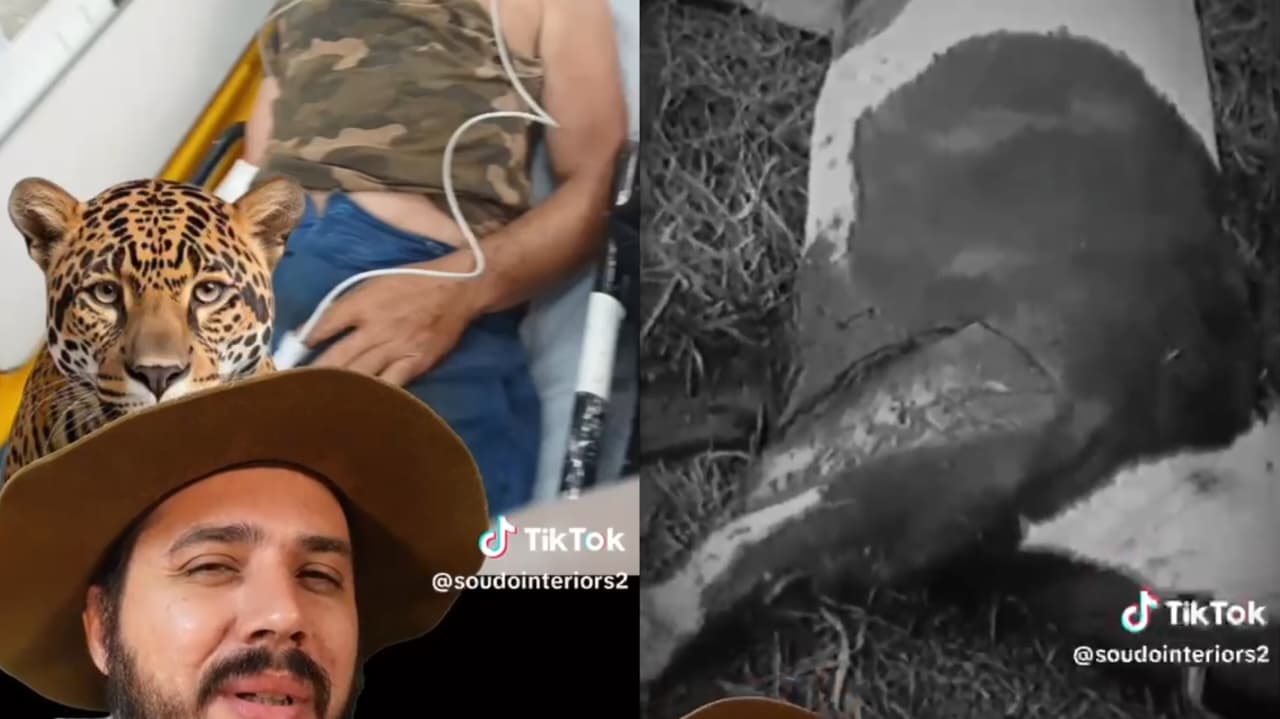 VÍDEO: Influenciador levanta suspeitas sobre suposto ataque de onça a caseiro