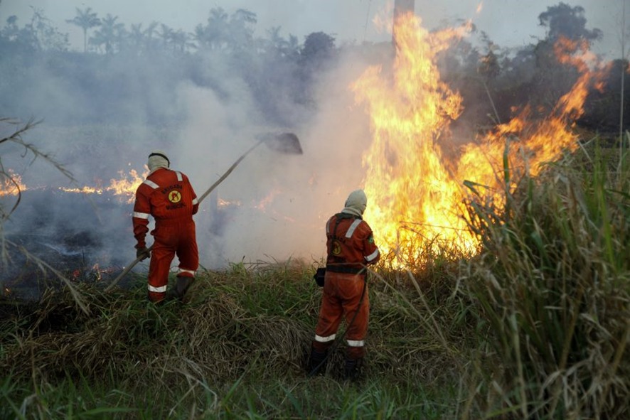 QUALIDADE DO AR: Fumaça de incêndios no Amazonas e MT avança em direção a Rondônia