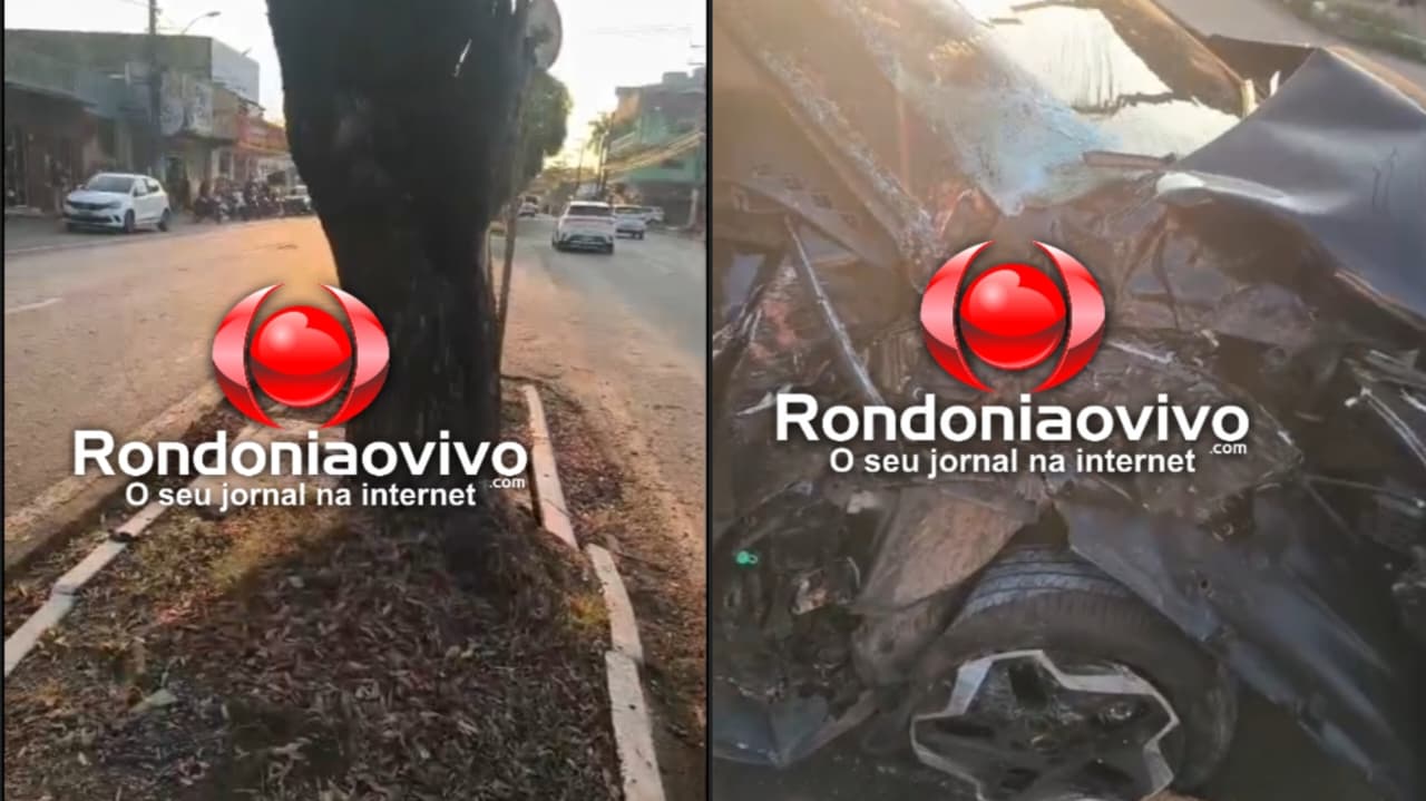 VÍDEO: Carro de app fica destruído após colisão contra árvore 