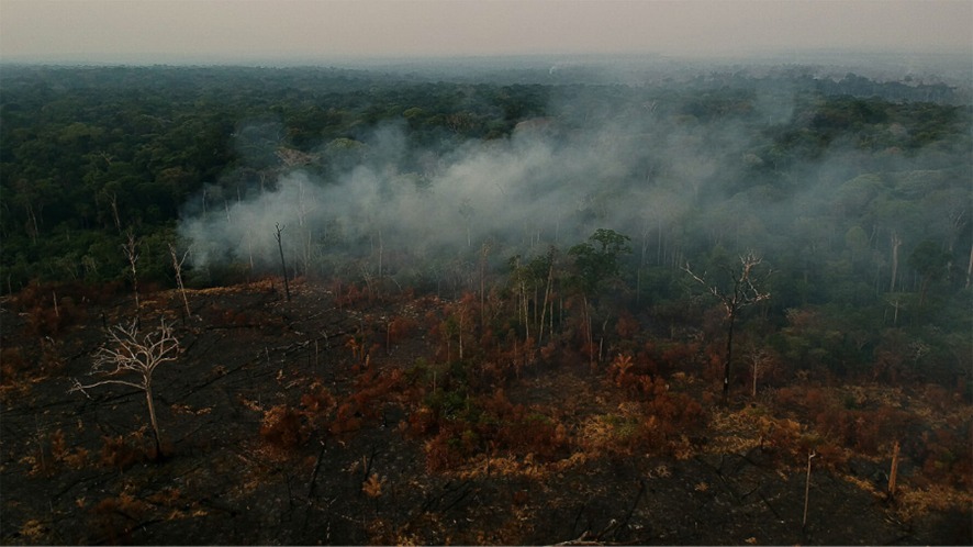 SUL DA AMAZÔNIA: Pecuária lucrativa pode ampliar desmatamento na Amazônia, aponta estudo