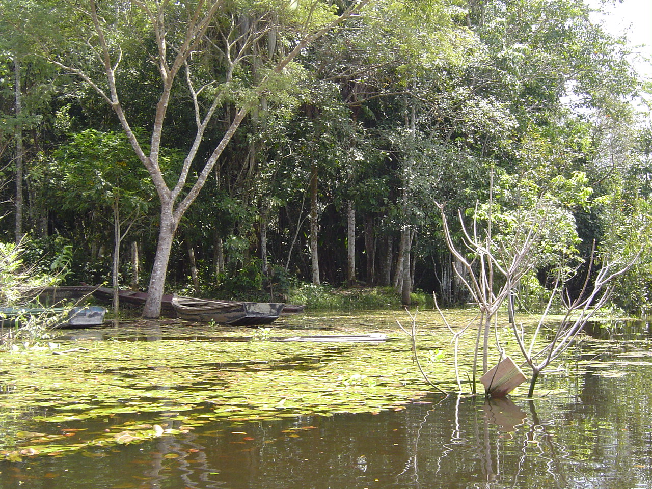 EXTRATIVISTAS: Incra dispõe R$ 2,9 milhões em créditos produtivos para povos da floresta